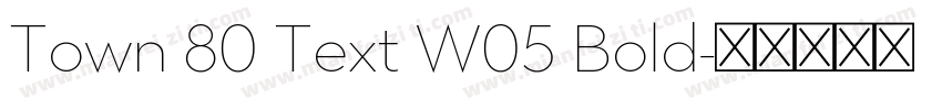 Town 80 Text W05 Bold字体转换